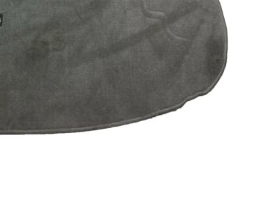 Lexus Carpet Cargo Mat PT548-48984-03