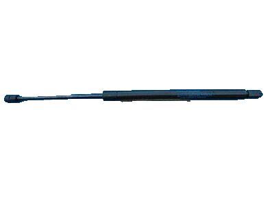 Lexus RX330 Tailgate Lift Support - 68950-09160
