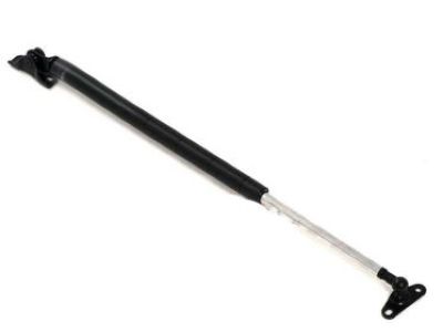 Lexus RX350 Tailgate Lift Support - 68960-09110