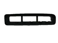 Lexus 53112-60030 Grille, Radiator, Lower RH