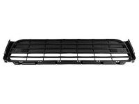 Lexus 53112-0E140 Grille, Radiator, Lower