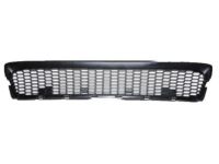 Lexus 53112-60160 Grille, Radiator, Lower