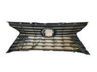 Lexus 53111-0E170 Grille, Radiator