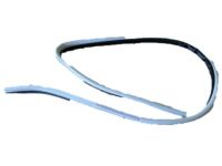 Lexus 62312-60020-A0 Weatherstrip, Front Door Opening Trim, LH