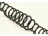 Lexus 48131-3A271 Spring, Coil, Front