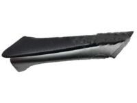 Lexus 74641-76020-B0 Grip, Door Assist, R