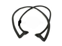 Lexus 68281-60010 Weatherstrip, Lift Gate