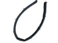 Lexus 67865-48040 WEATHERSTRIP, Front Door