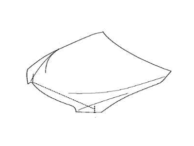 Lexus IS300 Hood - 53301-53110